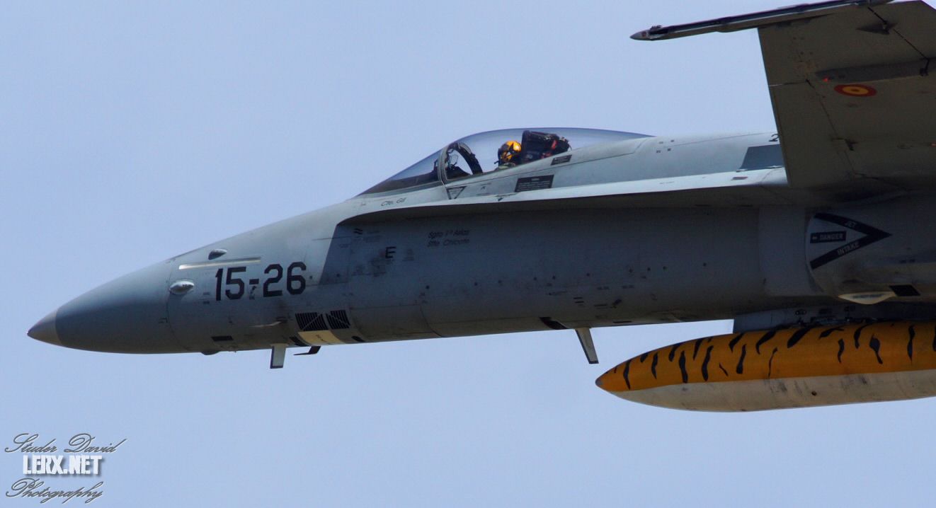FA-18 Espagnol 0010  LERX NET.jpg